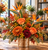 Paradice Harvest Enchanted Design