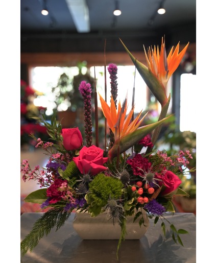 Paradise At Home  Tropical Flowers 