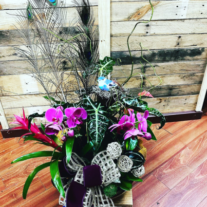 Paradise Blooms Dish garden 