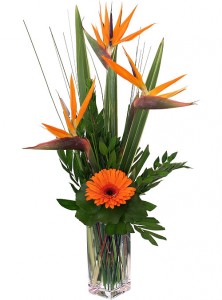PARADISE SUNSET Tropical Vase