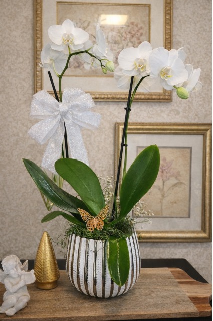 Paradisian Orchid Surprise Double Stem 