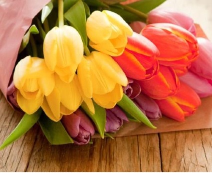 Tulip Mania Sale  Colorful flowers of Spring 