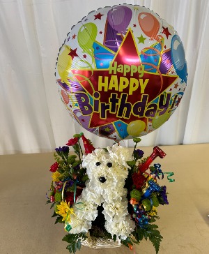 Party Pooch 