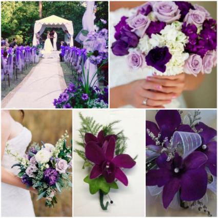 Passionate About Purple 