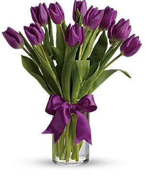 Passionate Purple Tulips 