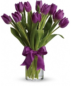 Passionate Purple Tulips 