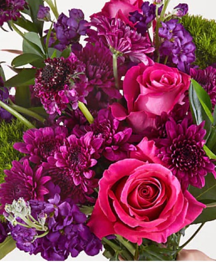 Passionate Purples Designer's Choice