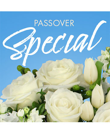 Passover Special Designer's Choice in Denver, CO | ED MOORE FLORIST