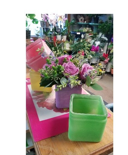 Pastel Bonnet Fresh