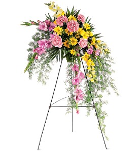 Pastel Crescent Spray  in Presque Isle, ME | COOK FLORIST, INC.