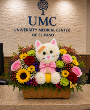 Patches & Petals Kitty Call Us for Faster Service & Daily Specials: (915) 303-8500 Text Us to Order Anytime: (915) 505-3708 Your trusted source for Flowers & Delivery in El Paso TX 