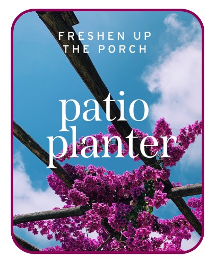 Patio Planter Plants