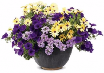 Table Patio Pot #2 Sun or Shade Pots, request your own...