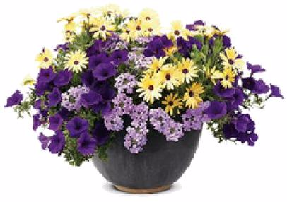 Table Patio Pot #2 Sun or Shade Pots, request your own...