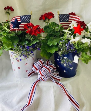 Patriotic Container of Annuals Outdoor Blooming