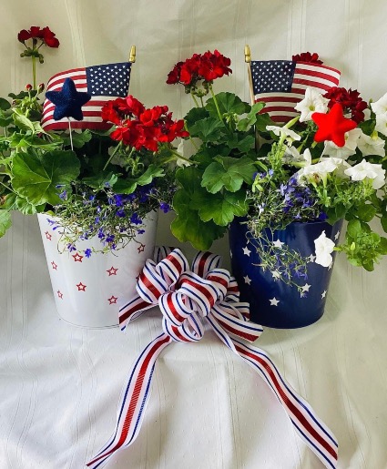 Patriotic Container of Annuals Outdoor Blooming