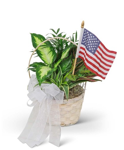 Patriotic Planter Flower Arrangement