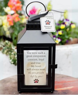 Pawprints Lantern  
