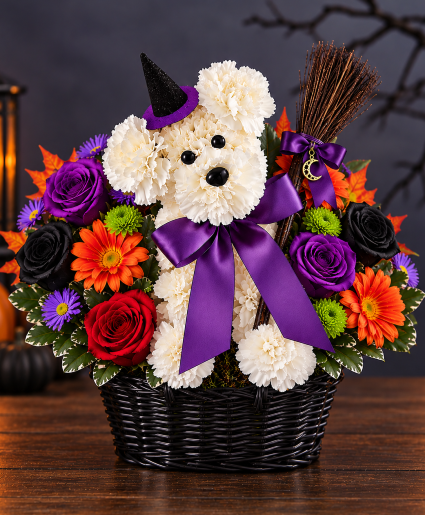 Paws & Potions Call Us for Faster Service & Daily Specials: (915) 303-8500 Text Us to Order Anytime: (915) 505-3708 Your trusted source for Flowers & Delivery in El Paso TX 