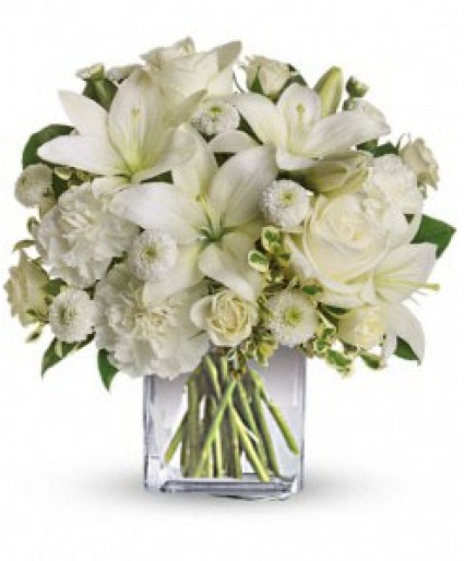 Peace and Joy All-white flowers