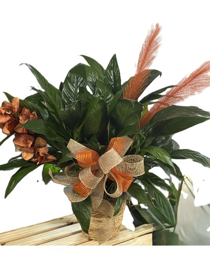 Peace Lily Decor plant