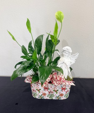 Peace Lily plant with Angel  