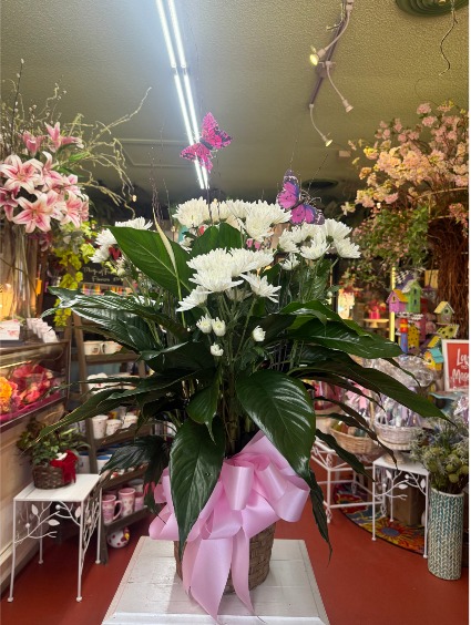 Peace Lily with Pink Butterflies 
