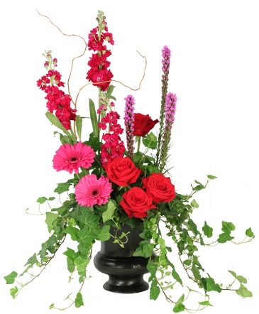 Peaceful Adornment Flowering Plants in Glens Falls, NY | ADK Flower