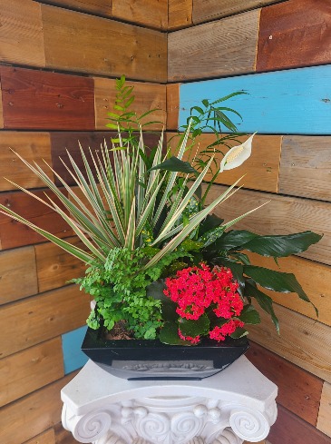 Peaceful Garden planter in Windsor, ON | K. MICHAEL'S FLOWERS & GIFTS