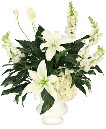 Peaceful Greenery House Plants in Talladega, AL | GAITHER'S FLORIST