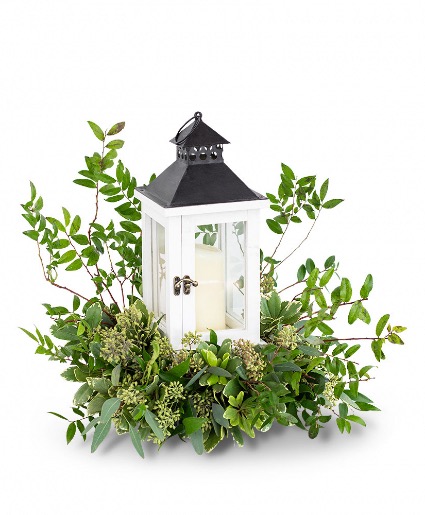 Peaceful Light Plant Arrangement