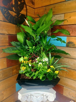 Peaceful Oasis planter
