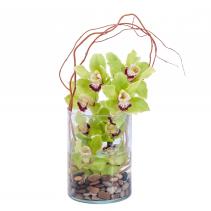 Peaceful Waters Arrangement