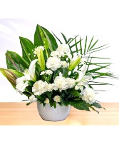 Peaceful: White  Ceramic Pot Arrangement