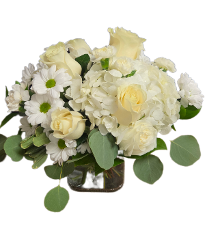 Peacefulness  Fresh arrangement