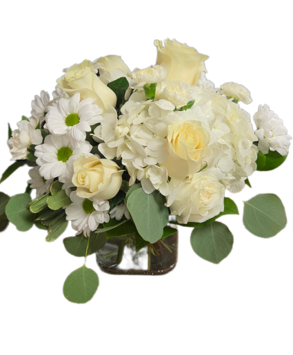 Peacefulness  Fresh arrangement
