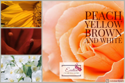 Autumn Harvest Designers Choice - Vase Arrangement