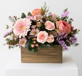 Peach Delights 