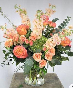 peach dream 