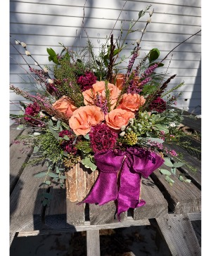 Peach dreams  Roses woody box 