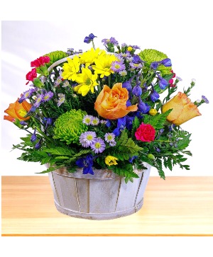 Zest for Life Basket Arrangement