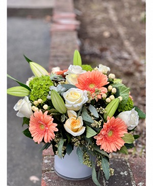 Peach Me...I Must Be Dreaming Cylinder Vase