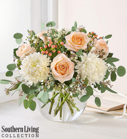 Peach Splender by Southern Living everyday