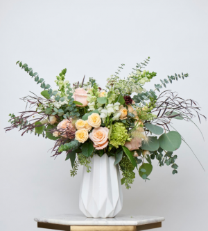 Peachy Eucalyptus  