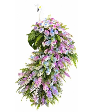 peacock easel spray 