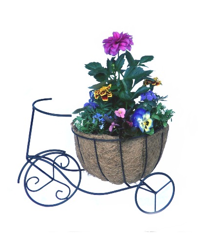 Penny Farthing Planter Asst. Plants