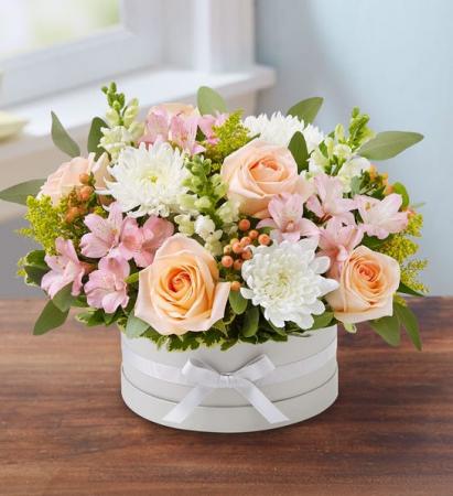 Penny Hatbox 