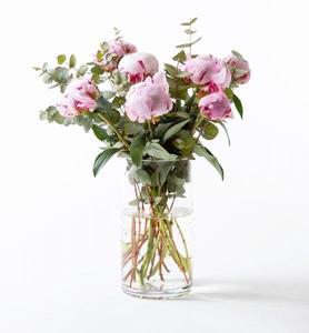 Peonies  Mix 