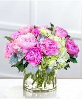 Lovely Peonies  