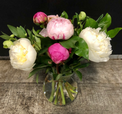PeoniesThis Week Summer Special Vased Fresh Arrangement